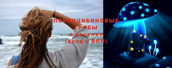 спайс Алексеевка