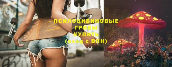 мяу мяу мука Алзамай