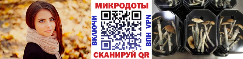 Псилоцибиновые грибы GOLDEN TEACHER Шадринск