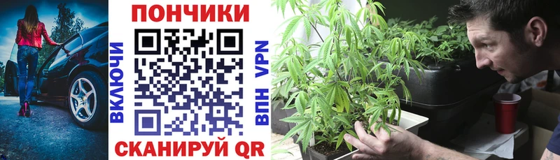 Каннабис SATIVA & INDICA  shop формула  Шадринск 
